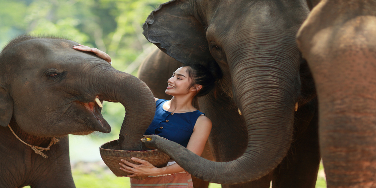 thailand wildlife tours